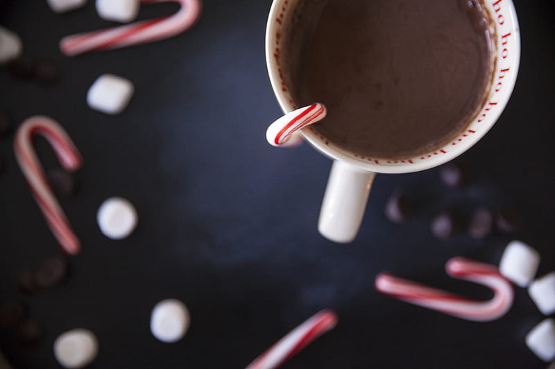 white ceramic mug with chocolate and candy cane, HD wallpaper