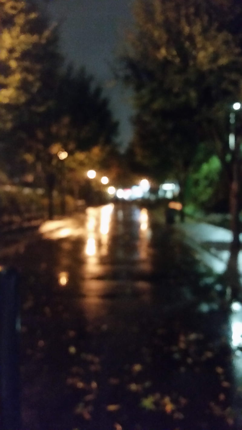 Night in New York, blurry, creepy, hazy, hazy lights, park, rain, rainy, trees, HD phone wallpaper