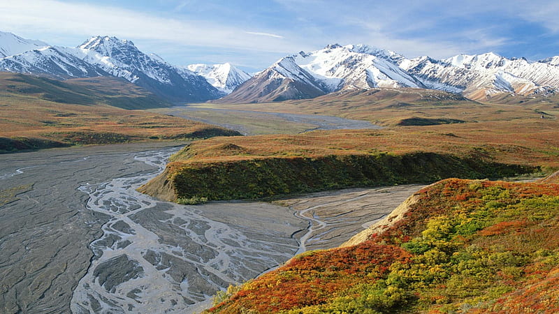 riverbed in denali national park in alaska, autumn, grass, mountains, river, meadow, HD wallpaper