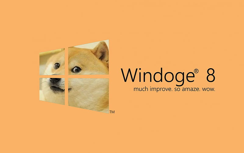 Windoge 8, windows, cool, microsoft, technology, fun, HD wallpaper | Peakpx