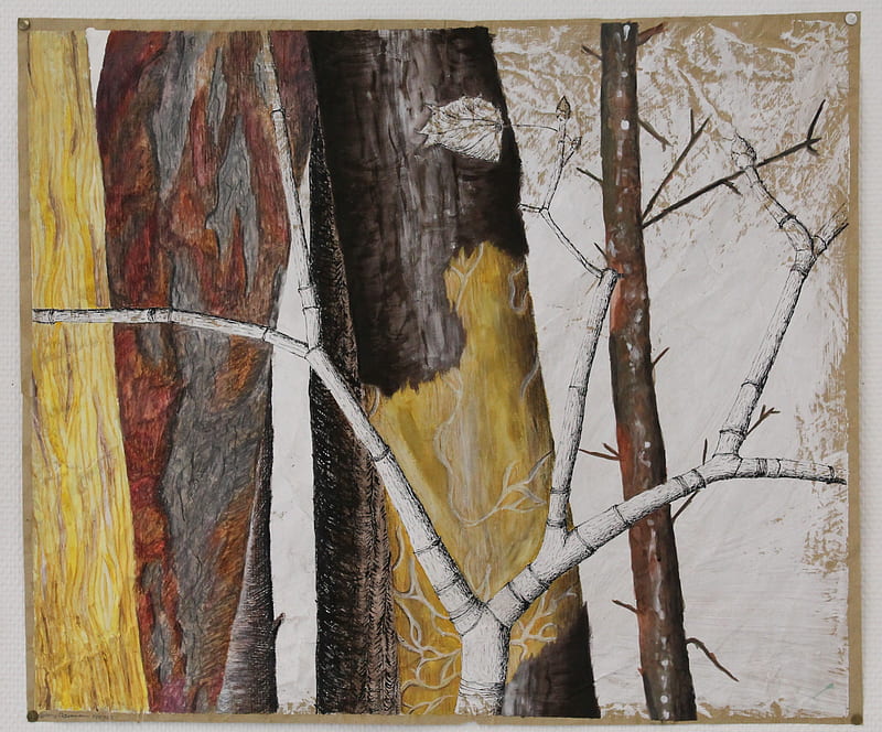Woods, strain, Wood, branch, bark, leaf, HD wallpaper