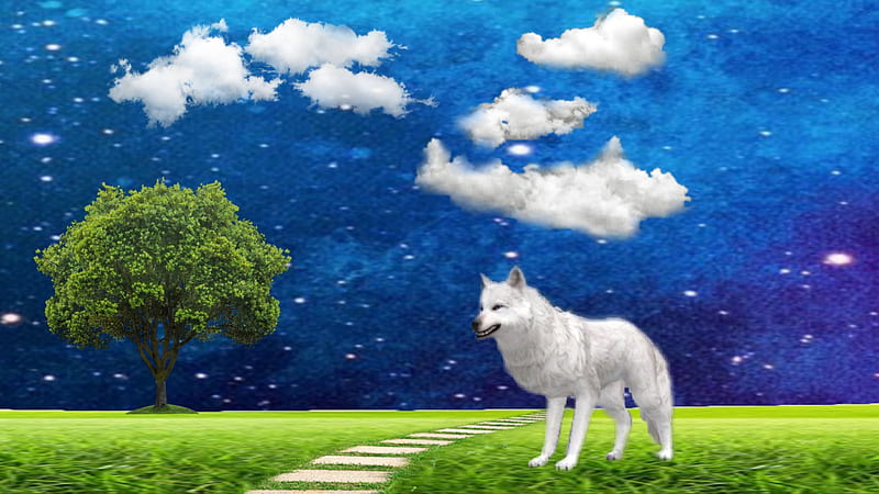 Wolf, animal, cloud, edit, picsart, sky, wildcraft, HD wallpaper | Peakpx