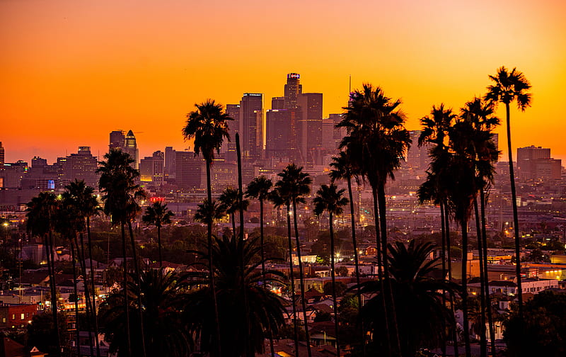 city, palm trees, sunset, buildings, skyscrapers, los angeles, HD wallpaper