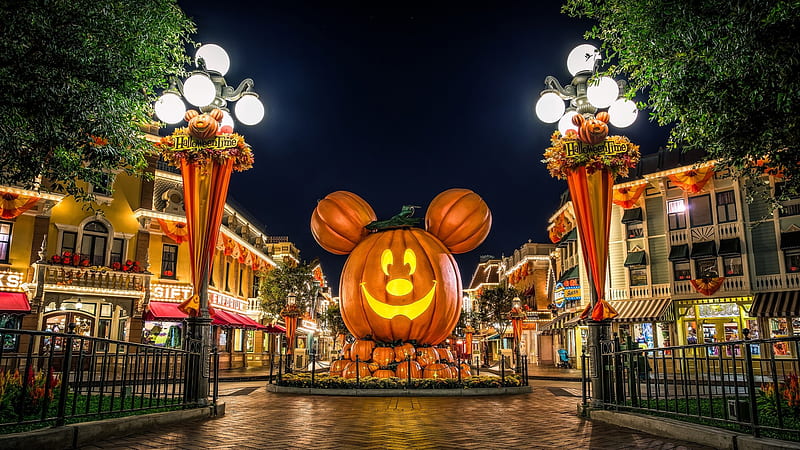 Mickey Mouse Halloween Pumpkin Disney Land Travel, HD wallpaper
