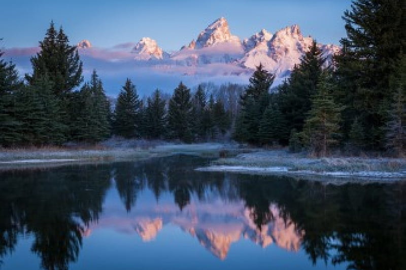 Snake River, Grand Tetons, forest, water, usa, peaks, reflections, firs, HD wallpaper