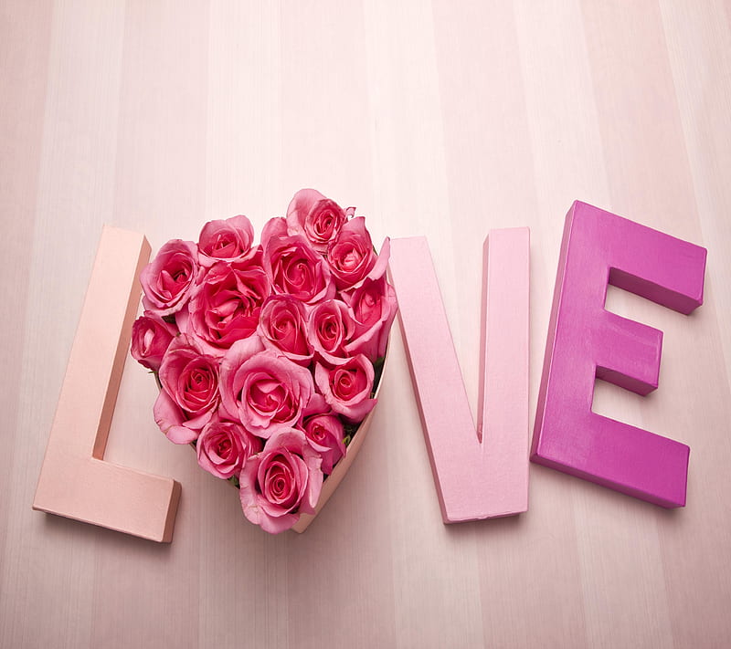 love roses, cool, couple, cute, siempre, gift, love, pink, romance, roses, HD wallpaper