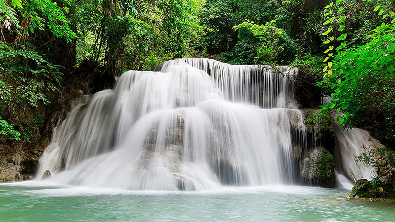 Closeup View Of Waterfalls Stream Between Green Trees Branches Forest ...