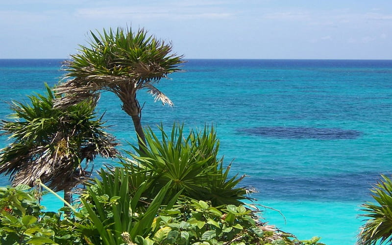 Beautiful Tulum, oceans, paradise, tulum, nature, sea, HD wallpaper