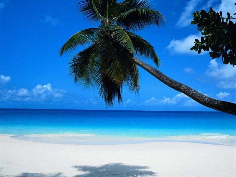 Tropical Heaven, beach, tropical beach, paradise, island, tropical ...