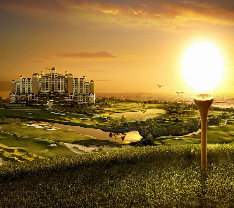 Golf Tee, course, field, sport, sunset, HD wallpaper