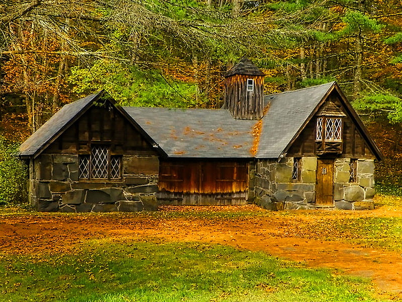 Little shabby cottage, forest, autumn, house, little, cottage, small, barn, nature, shabby, HD wallpaper