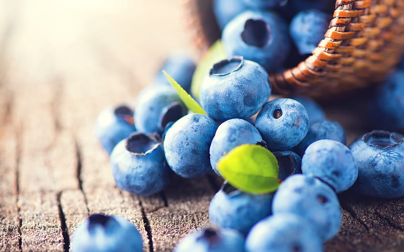 blueberries, macro, forest berries, purple berries, HD wallpaper