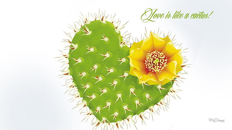 Love Like a Cactus, Valentines Day, blossom, whimsical, plant, love, flower, cactus, HD wallpaper