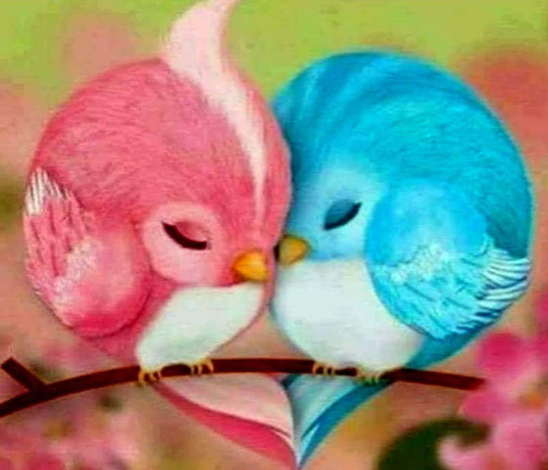 Love Birds, Pink, Love, Blue, Bird, HD wallpaper