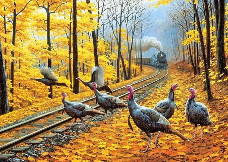 Turkey for Thanksgiving! , Fall, turkeys, leaves, train, birds, yellow, nature, trees, HD wallpaper
