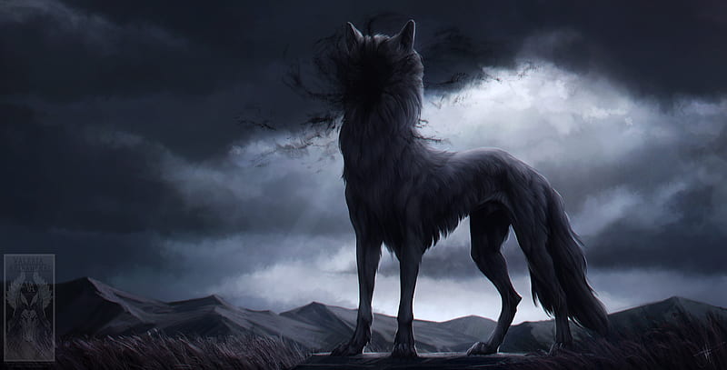 Wolf In Shadow , wolf, artist, artwork, digital-art, HD wallpaper