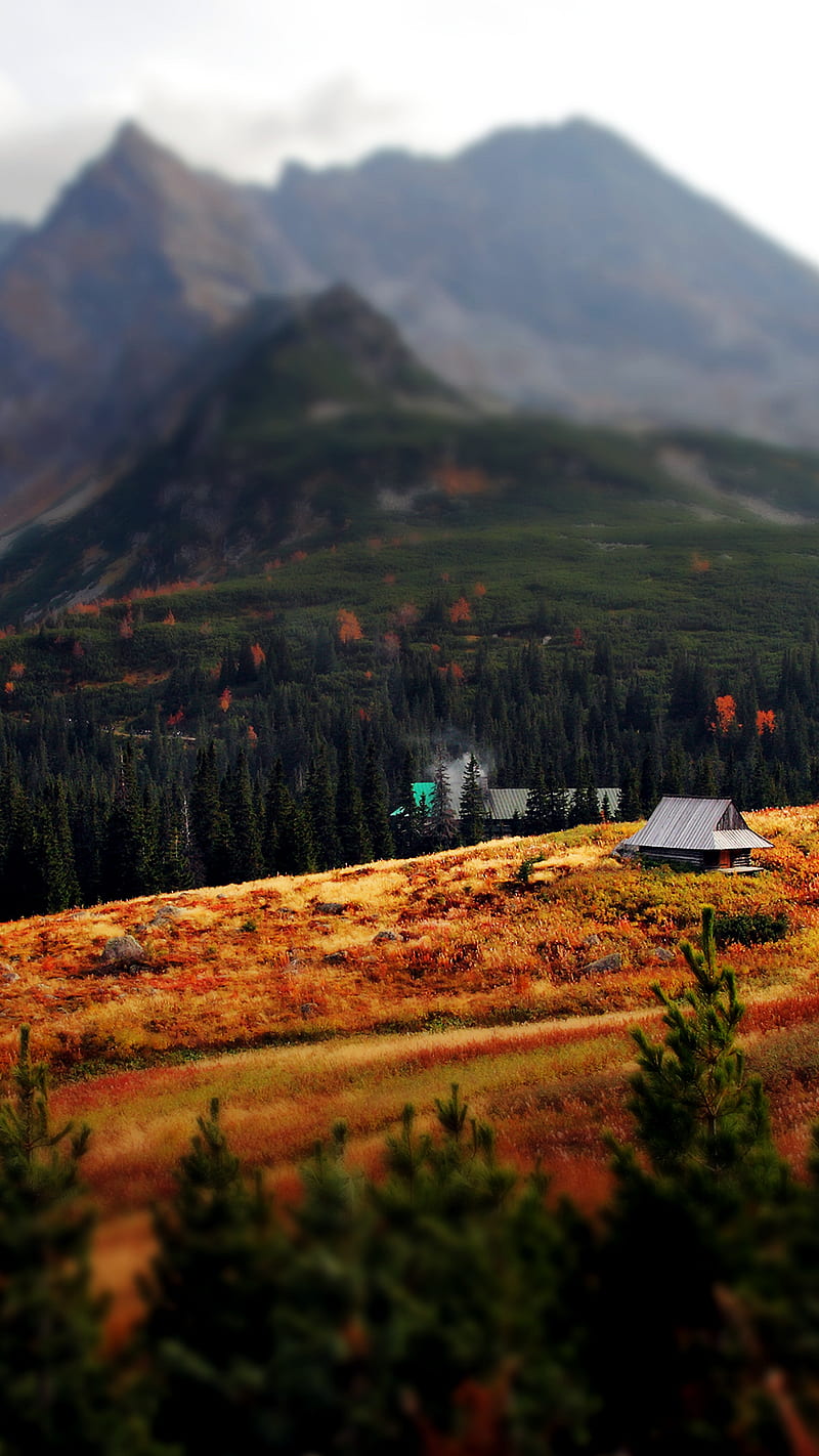 Mountainside Autumn, bonito, cottage, landscape, mountain, nature, HD phone wallpaper