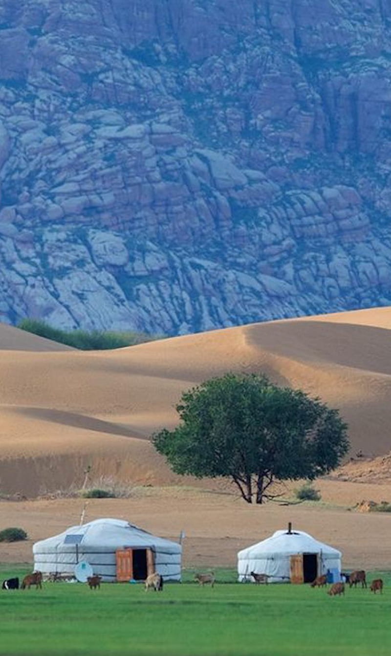 mongolia, landscape, tree, HD phone wallpaper