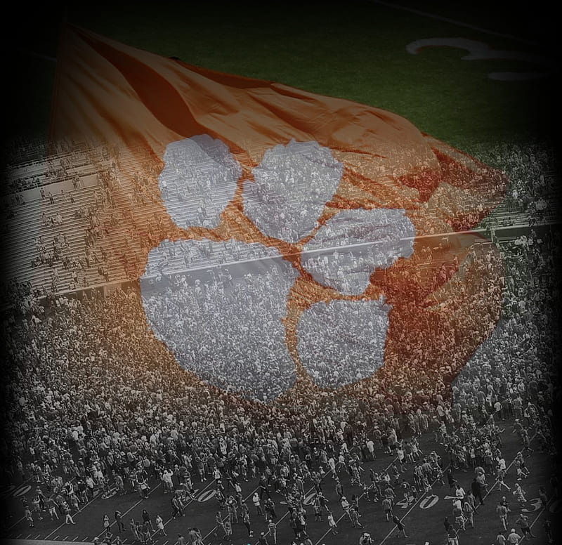 Clemson Tigers, crowd, football, memorial stadium, tiger paw, HD wallpaper