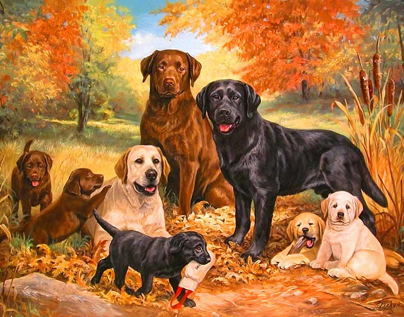 Lab family, family, forest, fall, art, autumn, bonito, adorable, trees, sweet, cute, puppies, painting, labradors, dogs, HD wallpaper