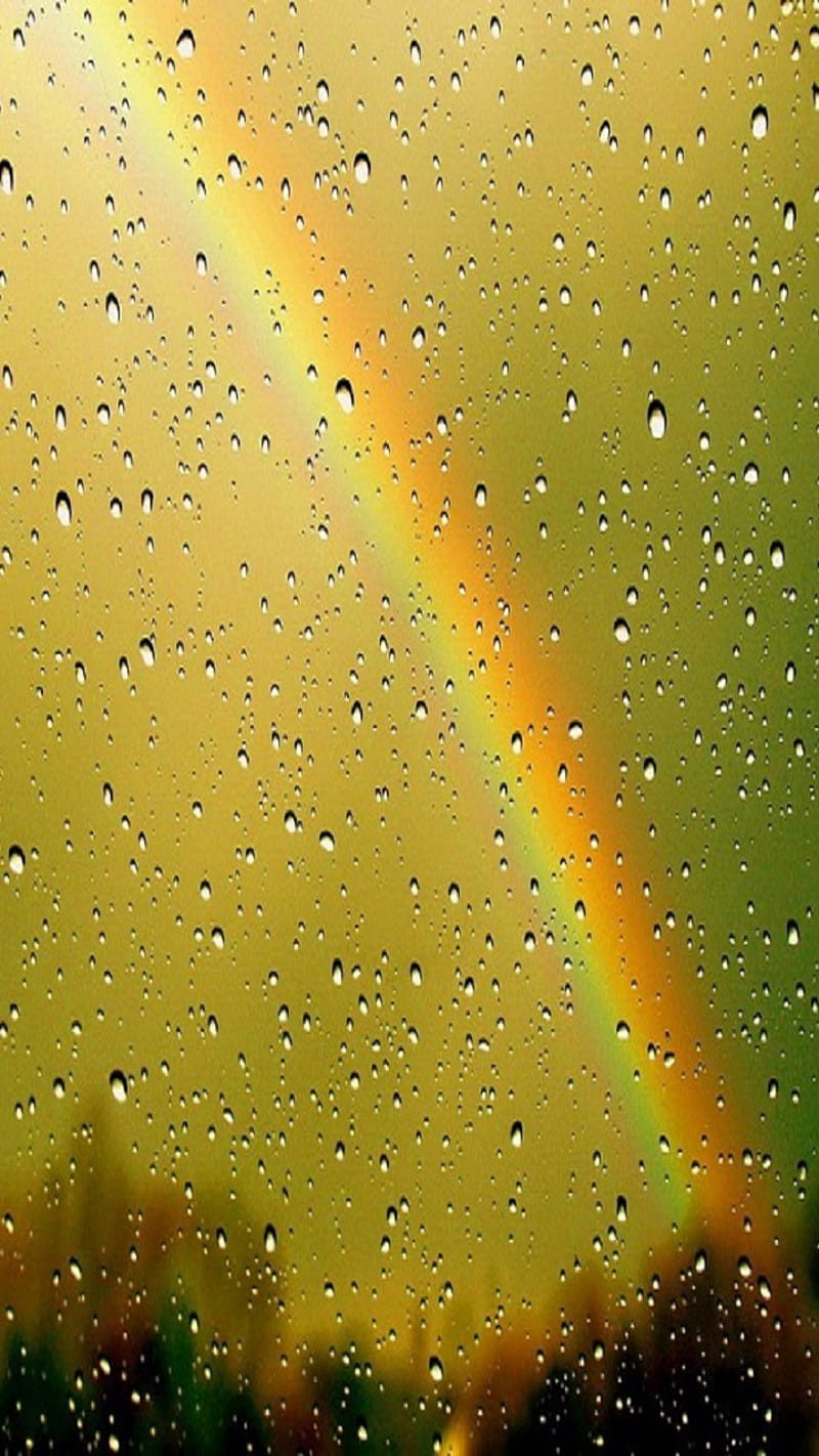 Rainbow, drops, rain, HD phone wallpaper