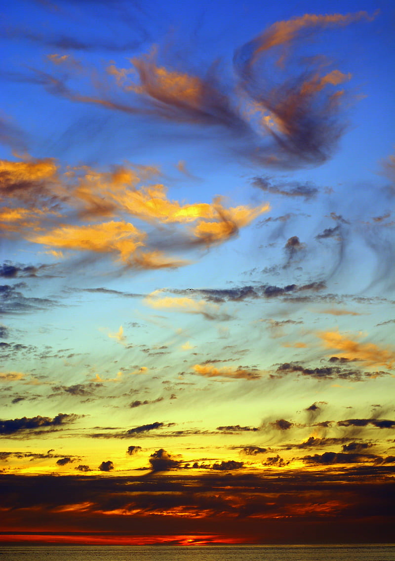 horizon, sun, sky, clouds, HD phone wallpaper