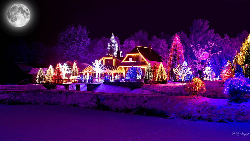 Aall Lit Up for the Holiday, Christmas, house, purple, home, trees, pink, lights, night, HD wallpaper