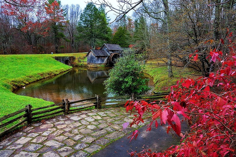 Late Fall at Mabry Mill, Virginia, autumn, leaves, path, colors, trees, HD wallpaper