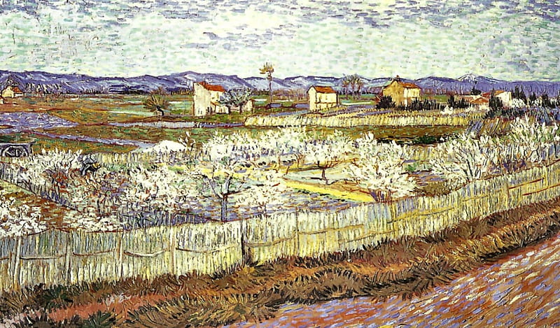 Peach Blossoms in the Crau, art, old master, artwork, Vincent VanGogh, VanGogh, painting, wide screen, scenery, oldmaster, landscape, HD wallpaper