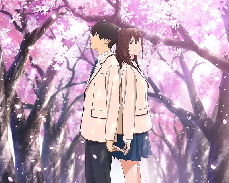 Anime, I Want To Eat Your Pancreas, Haruki Shiga, Sakura Yamauchi, HD wallpaper