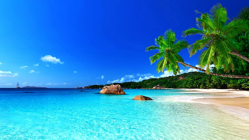Tropical beach, shore, bonito, sea, beach, tropics, rest, vacation, exotic, ocean, relax, sky, palms, paradise, summer, nature, tropical, sands, HD wallpaper