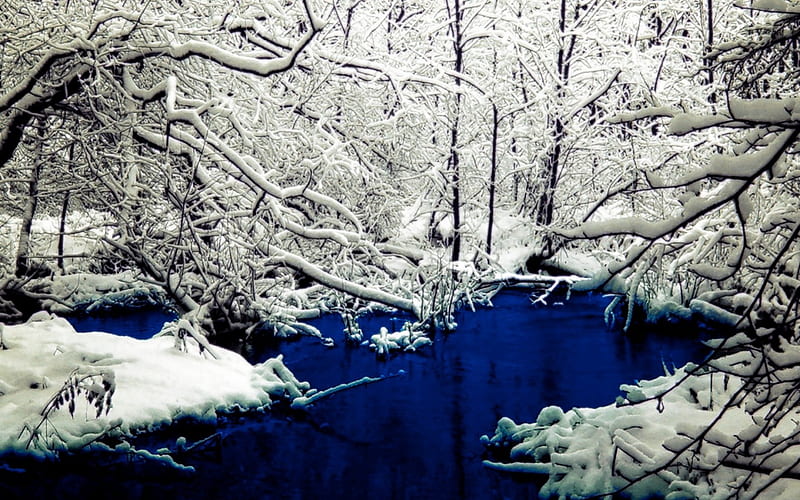 deep blue lake, tree, snow, lake, winter, HD wallpaper