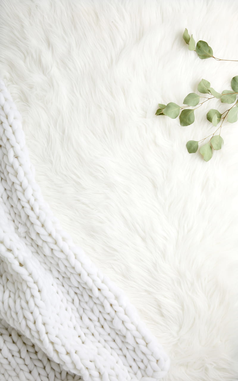 fur, pile, branches, leaves, white, HD phone wallpaper