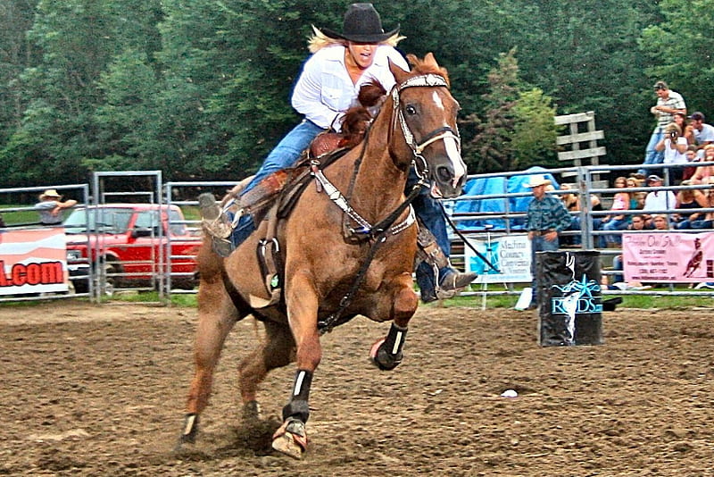1883 Barrel Racing Stock Photos HighRes Pictures and Images  Getty  Images