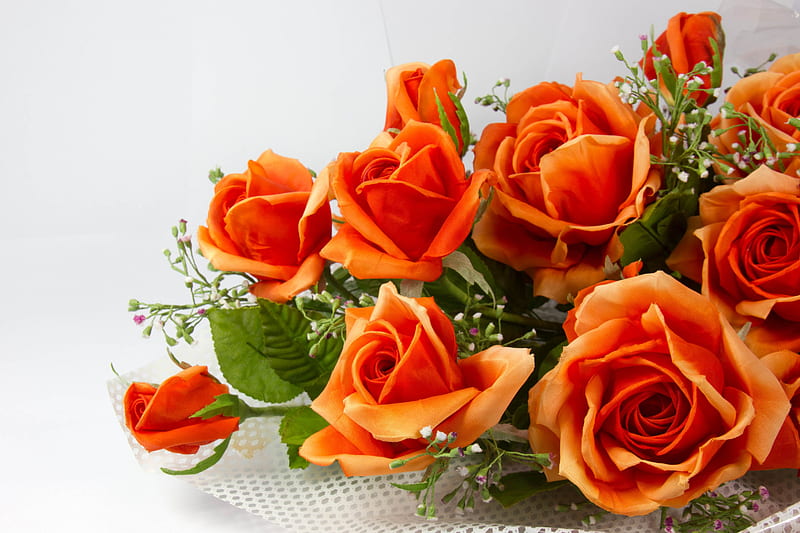 ~ Orange Roses to pen the mind ~, pretty, orange, together, bonito, adorable, fragrance, Nature, splendor, gentle, cherish, love, bright, open, Flowers, gorgeous, lovely, colors, meaningful, scent, soft, cute, bouquet, sentiments, Roses, Orange Roses, mind, HD wallpaper