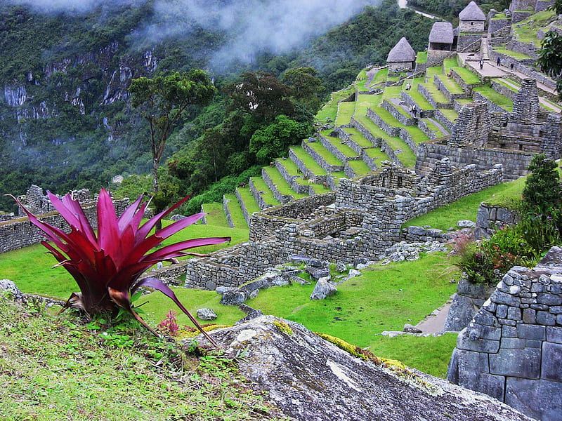 Peru - Machu Picchu, old city, machu picchu, peru, terrace, HD wallpaper