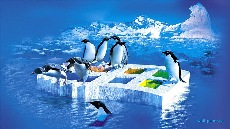.Family Penguins on the Ice., love four seasons, birds, attractions in dreams, creative pre-made, most ed, xmas and new year, winter, cool, snow, winter holidays, ice, nature, penguins, animals, blue, north pole, HD wallpaper