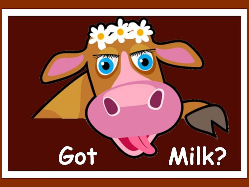 Cow - Got Milk ?, farm, cute, cow, funny, animal, HD wallpaper | Peakpx