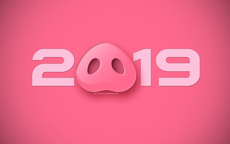 2019 Year, Happy New Year, Piglet, 2019 pig year, Pink 2019 background, creative art, 2019 concepts, Year of the Pig, HD wallpaper