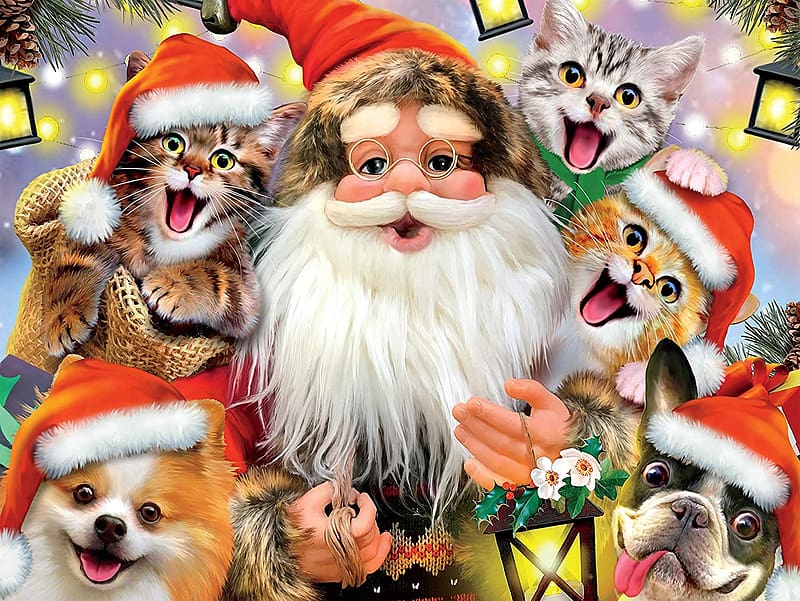 :D, cat, funny, santa, hat, dog, kitten, craciun, cute, selfie, puppy, pisici, christmas, HD wallpaper