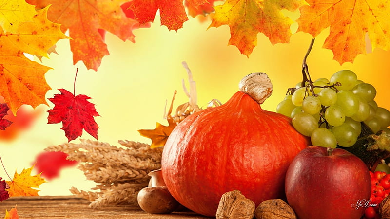 Autumn Harvesting, walnuts, fall, autumn, harvest, grain, wheat, apples ...