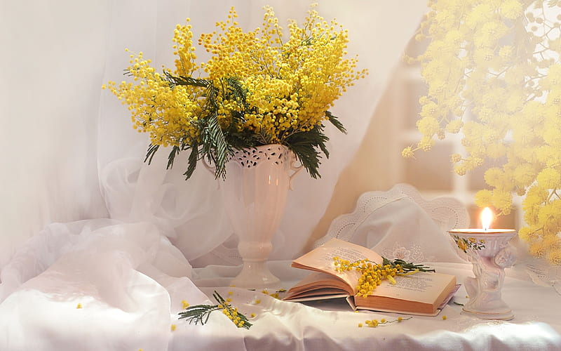 mimosa, yellow spring flowers, book, spring bouquet, vase, HD wallpaper