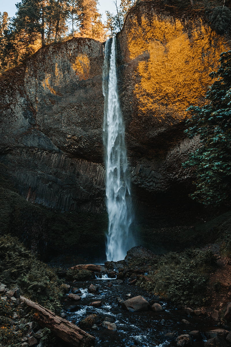 Summer Waterfall, Forest, Ice, Nature, Oregon, Pnw, Power, Samsung, Sony, Water, love, andorra, anime, art, bonito, black, canon, connorchristopher, forrest, fortnite, funny, groot, iOS, iPhone, landscape, love, minions, moody, queen, sad, still, weird, woods, wow, HD phone wallpaper