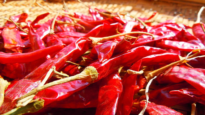 Red Chillies, culture, spices, food, texture, HD wallpaper