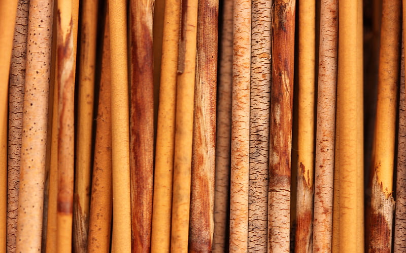 bamboo sticks macro, brown bamboo, bamboo canes, vertical bamboo sticks, bambusoideae sticks, close-up, background with bamboo, bamboo, HD wallpaper