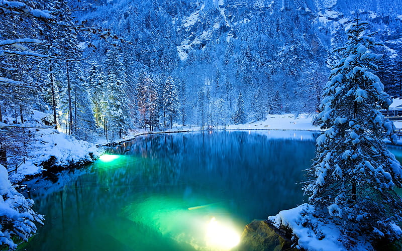 Winter Lake, Nature, Spruce, Forest, Lake, Switzerland, Snow, Winter ...