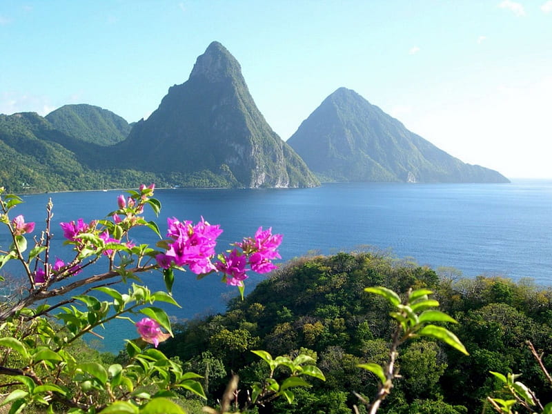 La Soufriere, St. Lucia, flowers, island, volcano, landscape, mist, HD wallpaper