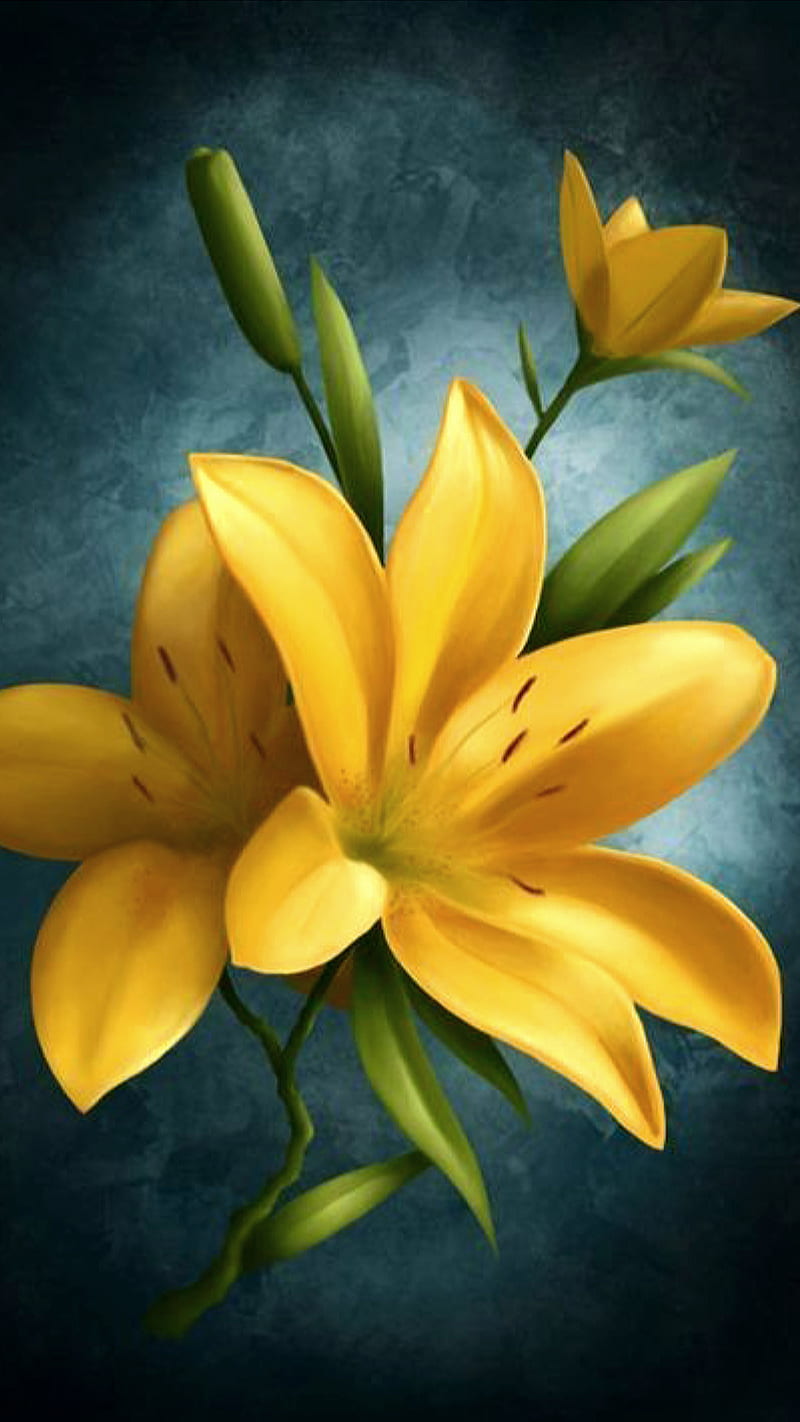 Yellow, flowers, lilly, HD phone wallpaper
