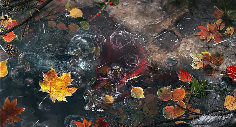 puddle, autumn, water drops, leaves, branches, Nature, HD wallpaper