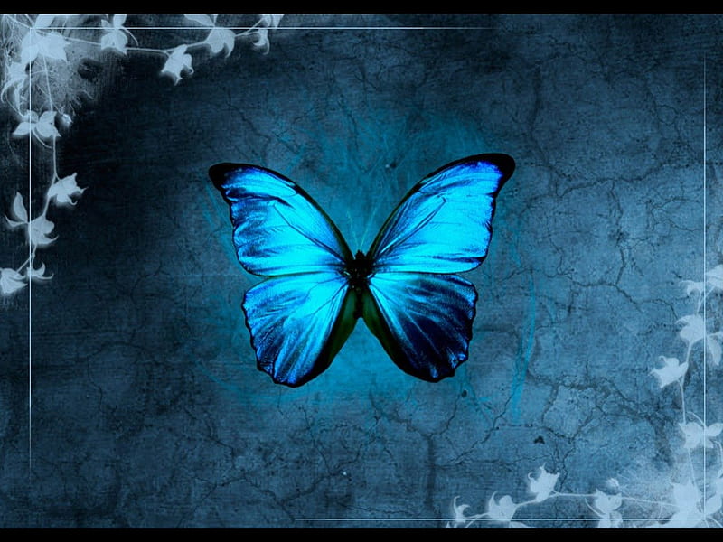 Blue Morpho Butterfly, morpho, butterfly, abstract, iridescent, blue, HD wallpaper